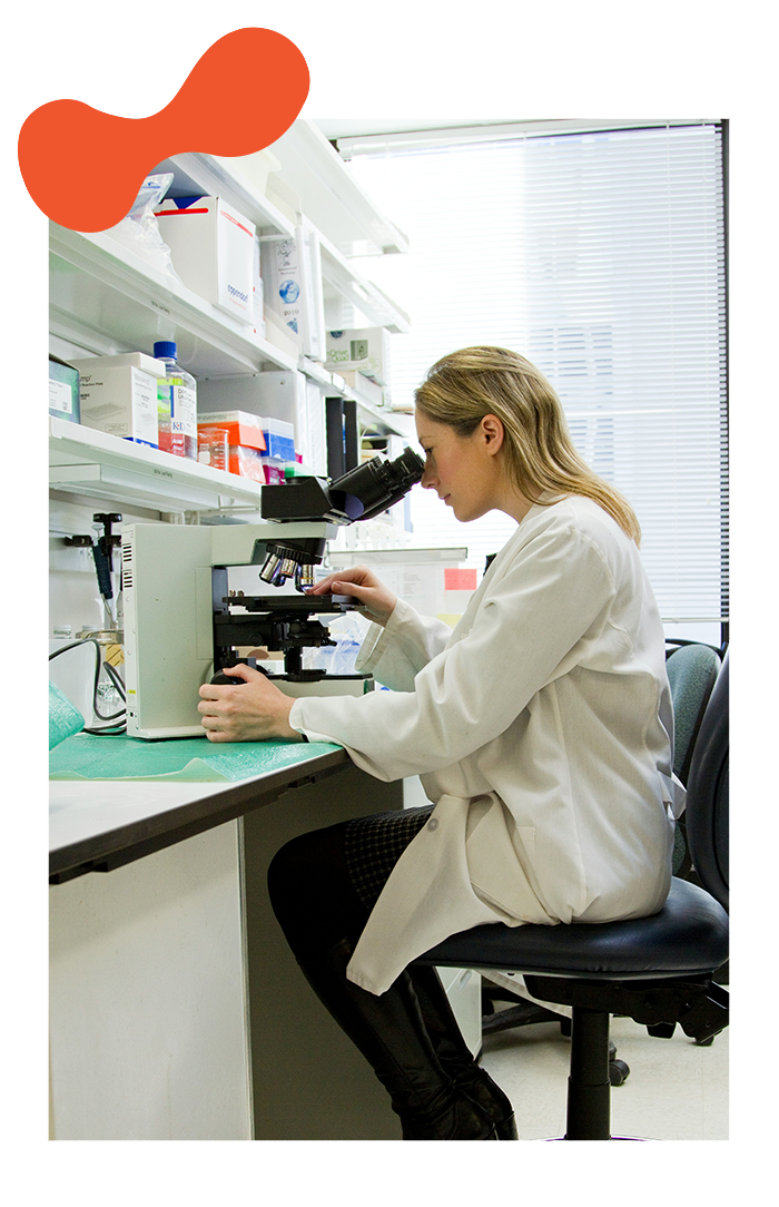 Doctor in lab looking at stem cells through a microscope