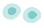 Illustration of stem cells